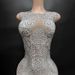 Women's Clothing Performance Costume Sleeveless Feather Full Diamond Slim Dress Singer Celebrity Party Banquet Party Dress_ecoleips.com