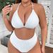 2026 New European And American Suspender Neck Large Size Beach Swimsuit Women's Solid Color High Waist Sexy Bikini_ecoleips.com