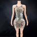 Women's Clothing Glitter Mirror Sequins Sexy Sleeveless Mini Ladies Evening Dress_ecoleips.com