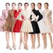 2026 Spring And Autumn New French Elegant Lace Patchwork Stand Collar Lantern Sleeve Slimming A-line Dress_ecoleips.com