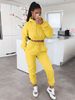 Women's Velvet Hooded Sweatshirt Casual Two-Piece Suit European American Style Autumn Winter Plus Size Clothing_ecoleips.com