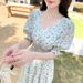 European And American Gentle Style Sweet Fairy Floral Summer Fresh V-neck High-waisted Slimmi, Women's A-line_ecoleips.com