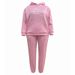 Women's plus Size Autumn Winter Leisure Suits Fashion Letter Print Long Sleeve Hooded Sweatshirt & Sweatpants Two Piece Set_ecoleips.com