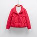 New Winter Warm New Down Jacket Women's Stand Collar Slim Temperament Small Simple Solid Color Coat Tide_ecoleips.com