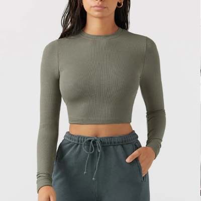 Women's Clothing Colorvalue Fitness Sports Top For Women Casual Ribbed Crew Neck Long Sleeve Yoga Running Sweatshirt Polyester_ecoleips.com
