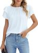 Verve 2025 Women's Formal Casual Summer Pleated Short Sleeve Round Neck Top Business Work Shirt_ecoleips.com