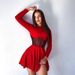 Women's High Neck Long Sleeve Short Dress Fashion Mesh Patchwork See Through Fishbone Waist Cinching_ecoleips.com