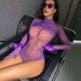 Aria Basics Women's Sexy Lingerie High-Elasticity Semi-Transparent Bodysuit European And American Cross-Border New Fishnet Dress_ecoleips.com