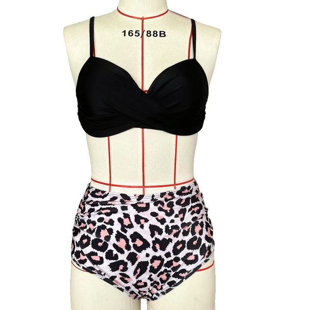 Women's High-Waist Bikini Set – Animal Print & Floral Swimwear With Removable Padded Top (S-Xxl, Quick-Dry Polyester, Tummy Control Design)_ecoleips.com