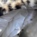 Retro Spicy Leopard Print Fur Patchwork Mini Skirt for Women mid Low Waist Bodycon New Winter 2025 Style_ecoleips.com