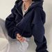 Women's Clothing Spring And Autumn New Products Ins Plus Velvet Versatile Fashion Short Slim Zipper Warm Solid Color Hooded Sweatshirt Women_ecoleips.com