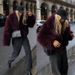 Luxury Faux Fur Coat – Plush Short Jacket With Shawl Collar (XS-L) | Winter Lazy Chic & Office-Ready_ecoleips.com