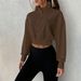 Spring And Autumn Versatile Brown Short Sweater Women, Stand-up Collar Zipper Retro Style, Loose Casual Sports Top_ecoleips.com