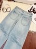 Women's Light Blue Washed Cotton Straight Leg Jeans Cat Whiskers Gardener Style Regular Fit Solid Denim Jeans For Spring/Autumn_ecoleips.com