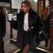 Women's Long Faux Fur Coat Casual Office Lady Street Style Spring/Autumn Outerwear_ecoleips.com