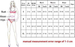Verve 2025 New Fashion Sexy Three-Piece Swimsuit Bikini For Women_ecoleips.com