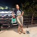 Women's Clothing Women's Sexy Straight Leg Python Pattern Digital Print Seven Point Shorts For Formal & Casual For Women_ecoleips.com