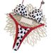 Women's Clothing Sexy Bikini Swimsuit Beachwear With Special Fabric Print Summer Vacation Polyester_ecoleips.com