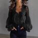 Women's Clothing Women's V Neck Puff Sleeve Pleated Shirt Fashionable Lace Trim Top For Spring Autumn For Europe And America_ecoleips.com