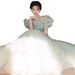 Green Evening Gown, 2026 New Style, Niche, Forest Themed, Fairy Like, Student Graduation, Vocal Arts Exam, Tulle Performance Costume._ecoleips.com
