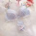 girl Super Beautiful Fresh Japanese Style Ribbon Embroidery Thin Cup Student Girl Cute Push-Up Sexy Bra Set_ecoleips.com