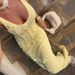 Women's 3D Floral Pattern Halter Neck Slim Fit Vacation Dress Breathable Back Slit Beachwear U Neck Sexy Stylish Top_ecoleips.com
