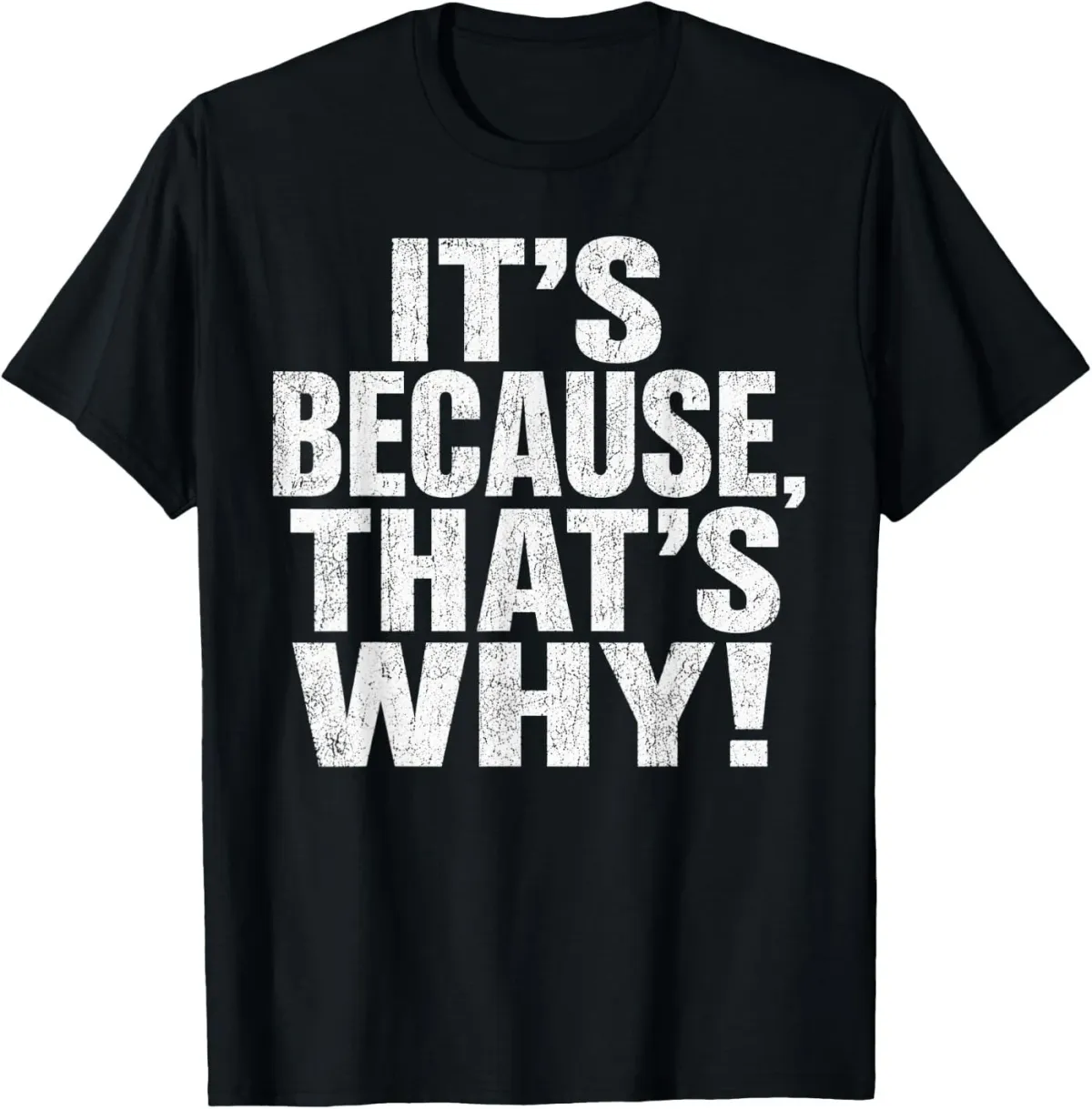Women's T-Shirts It's Because That's Why Funny Sarcastic Teacher Humor Tee T-Shirt_ecoleips.com