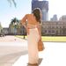 2025 European And American Cross-border Spring/summer New Sleeveless Chiffon Elastic Waist Two-piece Set INS Vacation_ecoleips.com