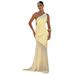 European And American Cross-Border Women's Fashion One-Shoulder Sleeveless Backless Slim Sexy Tie Mesh Long Dress Gown_ecoleips.com