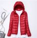 Lightweight Women's Hooded Down Jacket Slim Fit Plus Size Trendy Autumn Winter Outerwear Casual Elegant Fashion_ecoleips.com