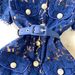 Elegant Lace Trimmed Lapel Dress Sophisticated Metal Buckle Autumn Perfect_ecoleips.com