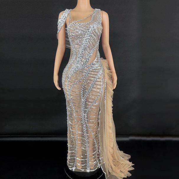 Glitter Sequin Mesh Fringe Bodycon Long Dress For Evening Party Performance Sleeveless Slit Gown Women's Clothing_ecoleips.com