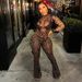 Animal Print Two Piece Set Women's Fashion High Waist Jumpsuit Long Sleeve Bodycon Outfit Comfortable & Stretchy Fabric_ecoleips.com