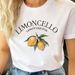 Summer European And American Cross-border Foreign Trade Wholesale T-shirts, Round-neck Casual Plus-size Loose_ecoleips.com