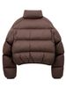 Brown Kendall Jenner Short Down Jacket Women, European Version, New Stand Collar, Thickened Puffer Jacket, Simple High_ecoleips.com