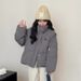 Women's Embroidered Puffer Jacket – Korean-Style Oversized Duck Down Coat With Stand Collar (Black/White/Gray/Taupe/Red, One Size)_ecoleips.com