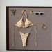 Women's Sexy Polka Dot Bikini Set Adjustable Tied Triangle Top & Cheeky Bottom Swimsuit_ecoleips.com