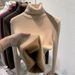 Premium High-Neck Fleece-Lined Sweater For Women - Ultra-Warm Winter Thermal Top With Plush Velvet Inner, Slim Fit, Elegant Solid Colors_ecoleips.com