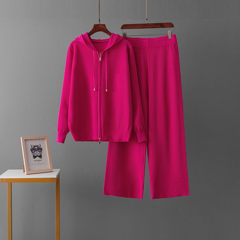 Women's Woolen Zip up Hooded Cardigan Set with Casual Loose Pants Solid Color Knitted Top And Bottoms_ecoleips.com