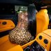 Women's Clothing Fashionable Sexy Leopard Print Jumpsuit For Women High Waisted Long Sleeved Hot Selling Women's Clothing_ecoleips.com