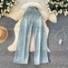 "Women's High Waisted Floral Embroidered Jeans – Light Blue Loose Fit Wide Leg Denim Pants For Petite & Curvy"_ecoleips.com