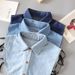 Women's Clothing Denim Shirt Collar Versatile Collar Casual Replacement Multifunctional Collar With Sweater Clothes_ecoleips.com