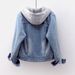 Women's Clothing Velvet Thickened Cotton Cotton Coat Removable Hooded Warm Lambswool Cotton Coat Short Style_ecoleips.com