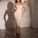 Modest Evening Dress Spring Summer Sexy Elegant Mesh Dress European American Style Fashionable For Vacation Evening Wear Women's Clothing Party Wear_ecoleips.com