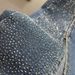 Women's Clothing Fashion Autumn Cotton Elastic High Waist Slim Fit Hot Diamond Split Flared Pants Trousers_ecoleips.com