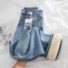Fleece-lined Thickened Narrow Wide-leg Jeans Women, 2025 New Autumn And Winter Hot-selling High-waisted Straight Pants_ecoleips.com