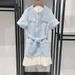 Women's Clothing Early Spring Fashion Sky Blue Tweed Waist Patchwork Pleated Hem Round Neck Dress 24941_ecoleips.com