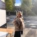 Fox Fur Coat Women's New Lapel Temperament Versatile Furry Top_ecoleips.com
