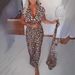 Women's Short-Sleeved Leopard Print Dress Spring 2026 Long Skirt Independent Website European And American Cross Border New Arrivals_ecoleips.com