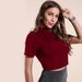 Stylish And Sexy Base Layer Top, High Neck Short Sleeved Crop Top_ecoleips.com